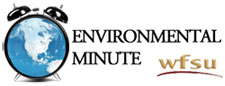 The Environmental Minute